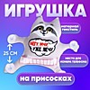 Автоигрушка «Бегу, мчу, уже лечу», енот, на присосках